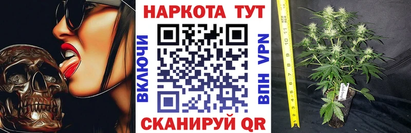 Сколько стоит Чистополь APVP omg Меф