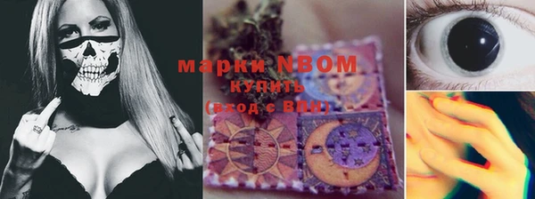 спиды Новокубанск
