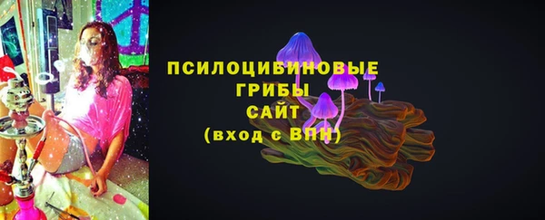 соль курить ск Няндома