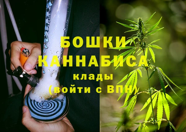 первитин Нягань