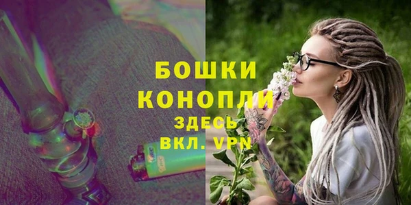ALPHA PVP Новозыбков