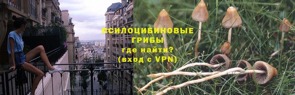 спиды Новокубанск