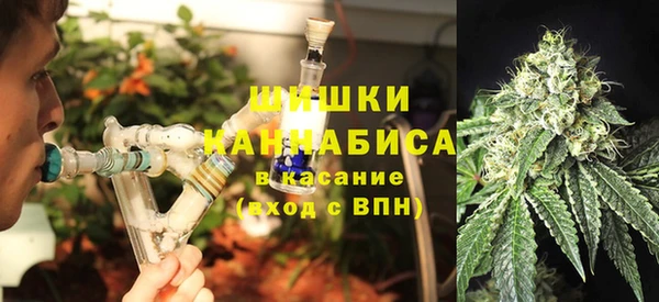 мдпв Новодвинск