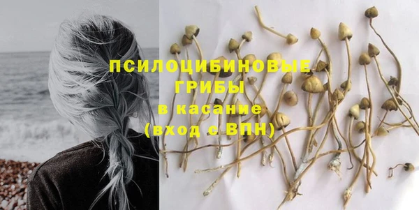 спиды Новокубанск