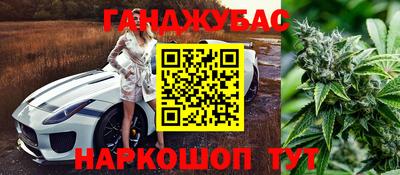 гидра Гагарин