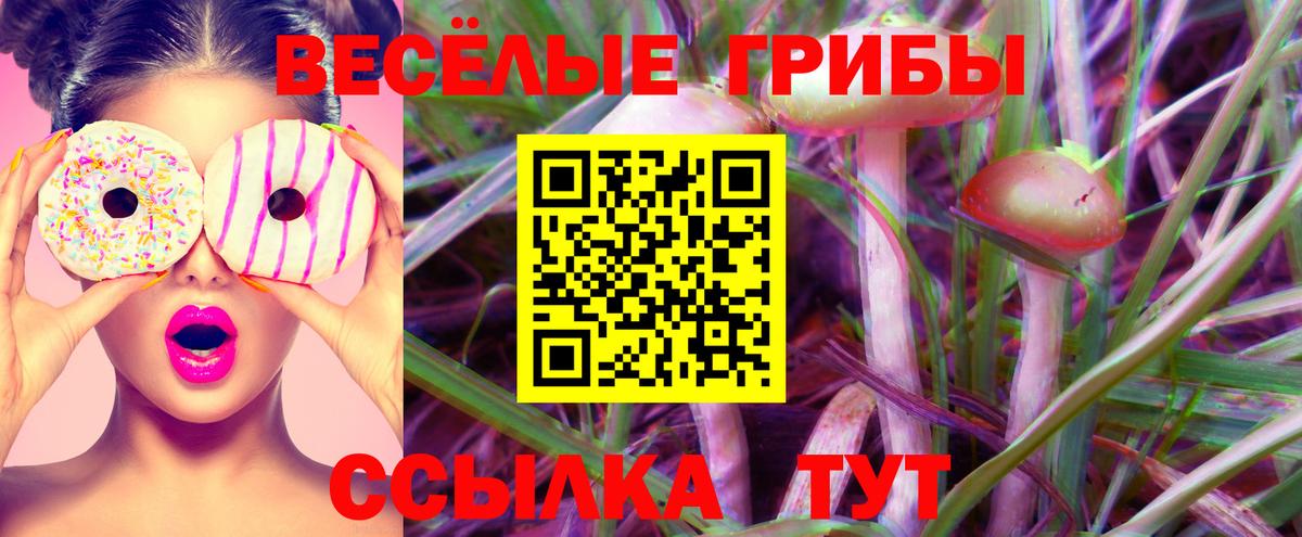 Галлюциногенные грибы Cubensis Чистополь